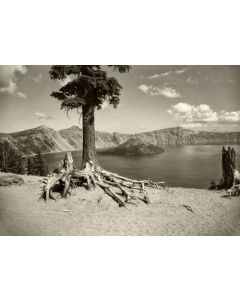 On the Rim Trail, Crater Lake - Ralph Eddy
