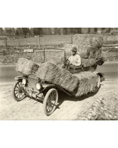 Bringing Home the Hay from Park Place - Eddy