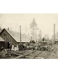 Logging - Camp No. 2, Yeon and Pelton Company - Nelson
