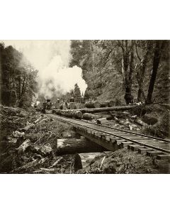 Loading Logs with 3 Steam Donkeys and a Steam Engine - Ernest A Stauff