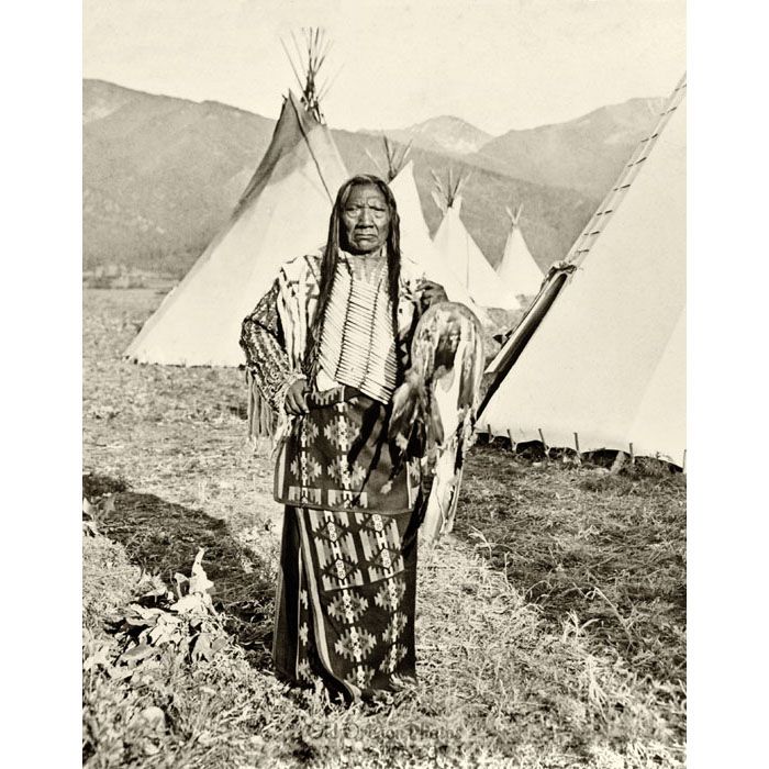 Chief Charlot, Flathead Reservation - Forsyth