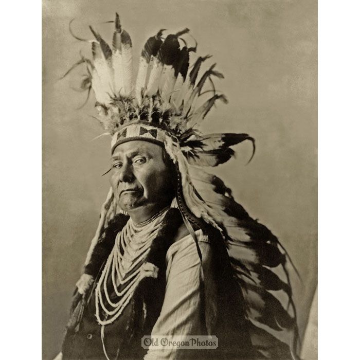Chief Joseph, Nez Perce - Gill