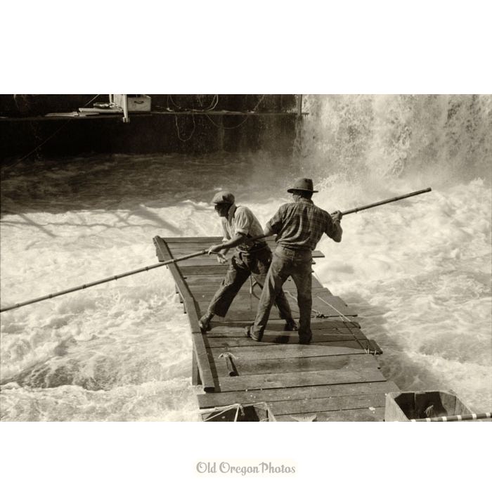 Fishing for Salmon at Celilo Falls - Lee