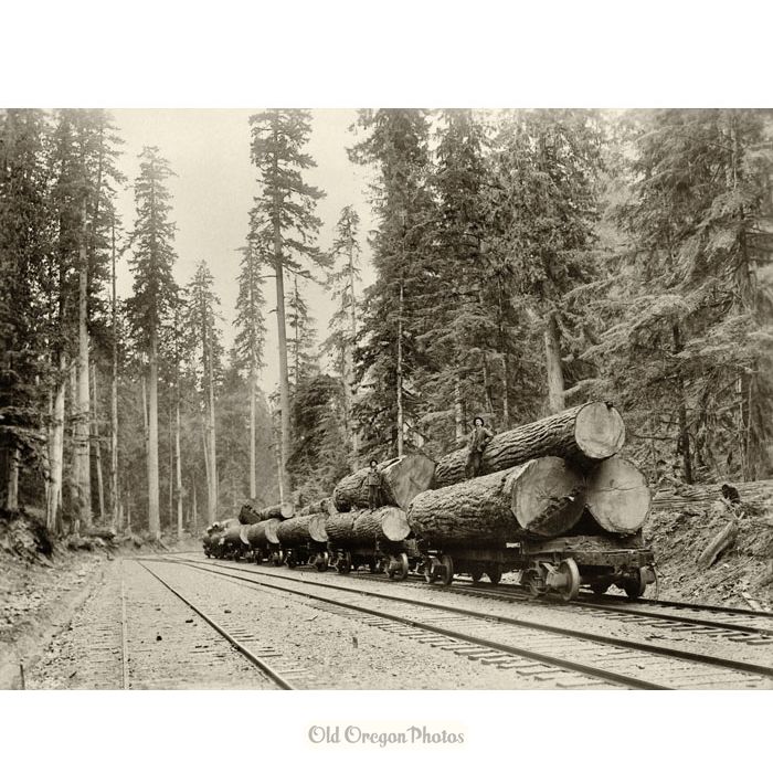 Log Train in Northwest Washington - Cress