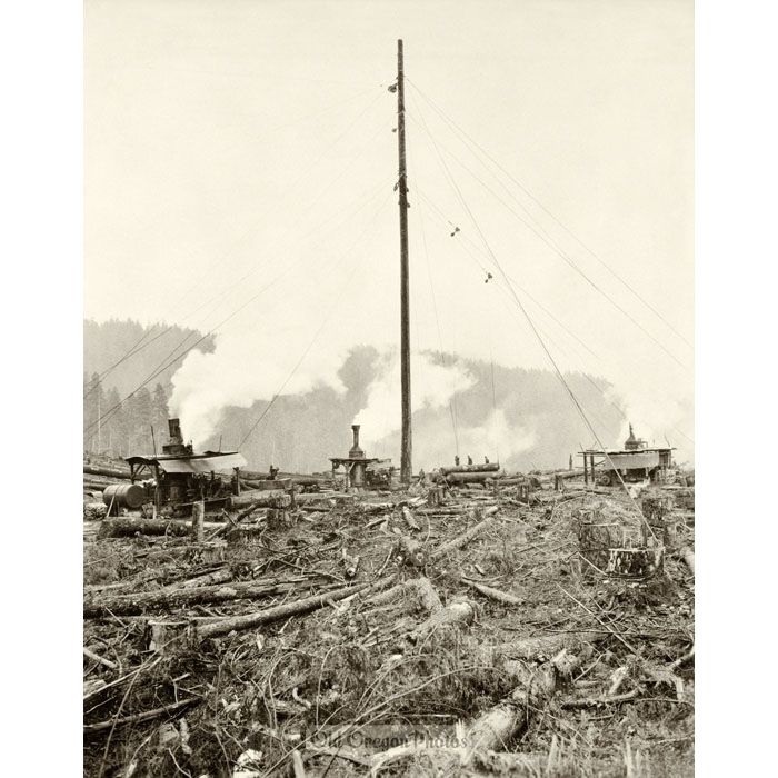 Logging - High Lead Spar Mast, Dempsey Lumber Co. - Cress