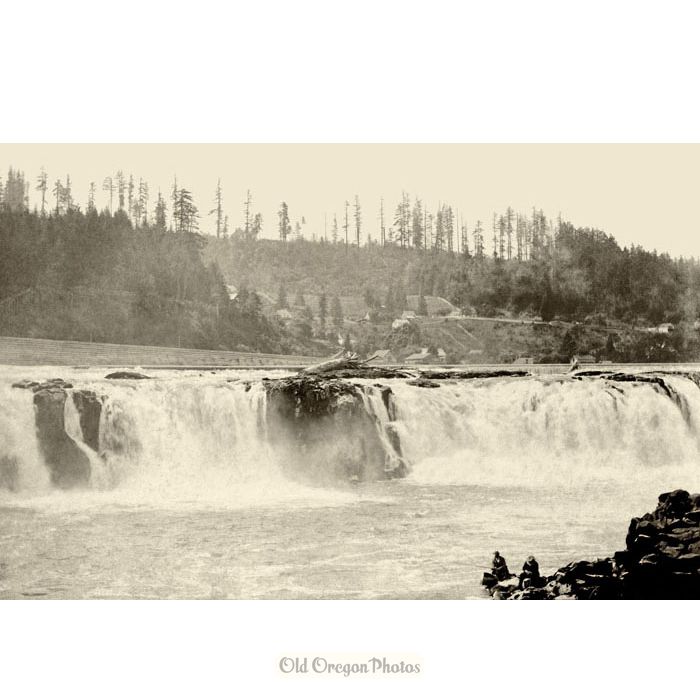 Willamette Falls and Canemah - Davidson