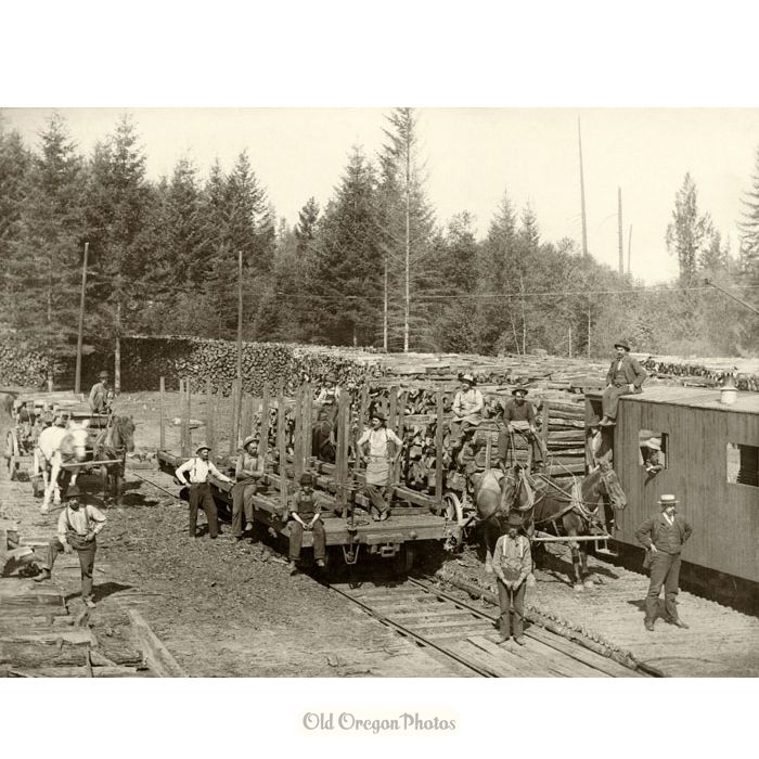 Willamette Falls Railway, Woodyard Across the Tualatin