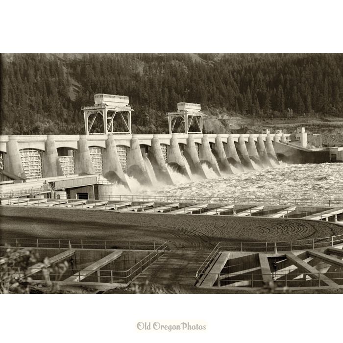 Bonneville Dam, Columbia River - Eddy