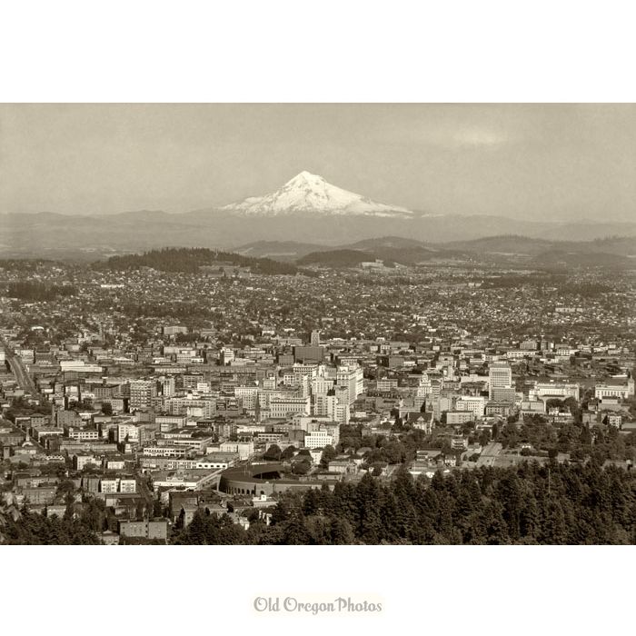 Portland and Mount Hood - Eddy
