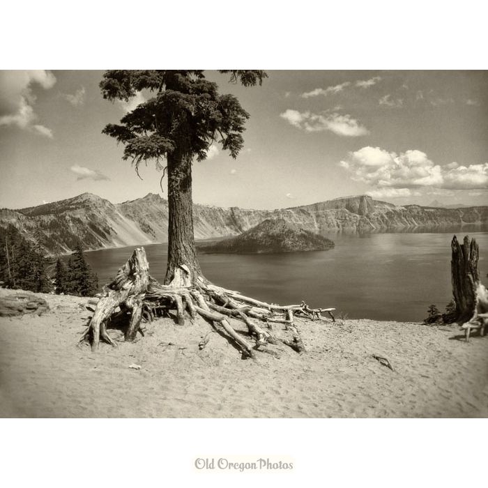 On the Rim Trail, Crater Lake - Ralph Eddy