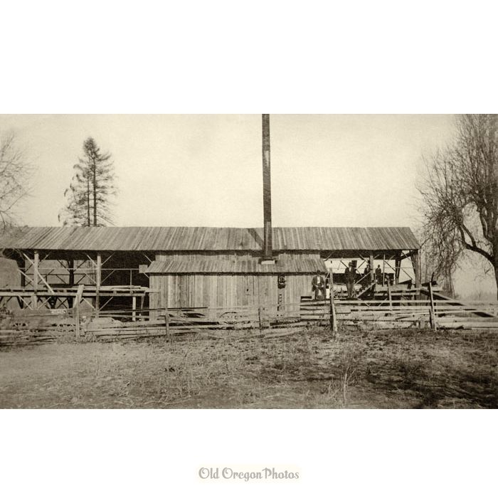 Moehnke's Sawmill near Willamette