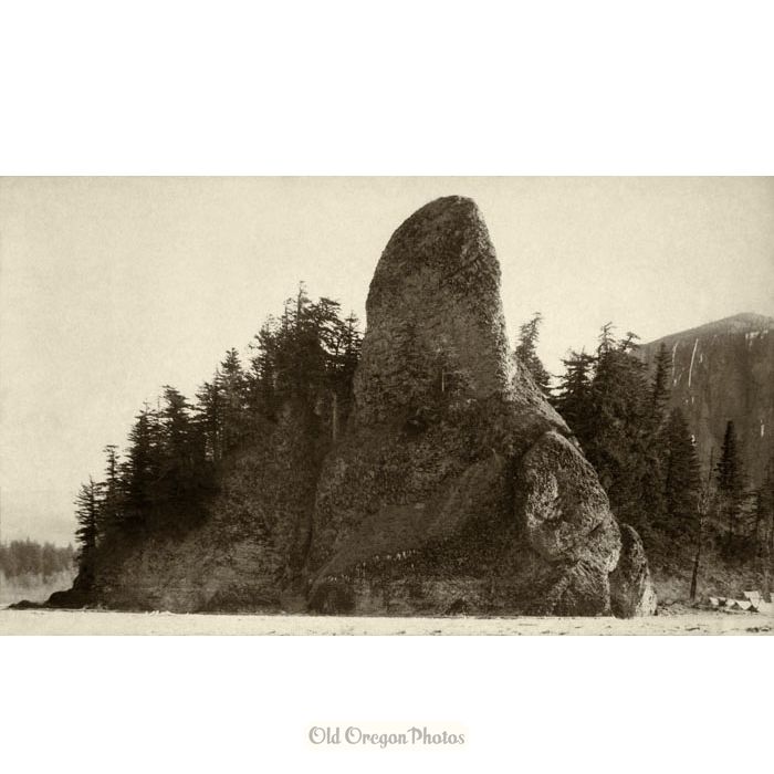 Rooster Rock, View from the River - Davidson