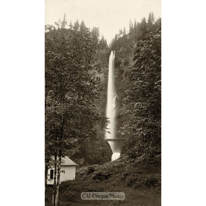Multnomah Falls - W. H. Partridge