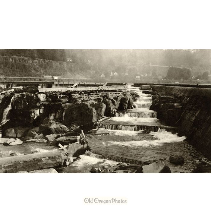 Fish Ladder at Willamette Falls - 1913