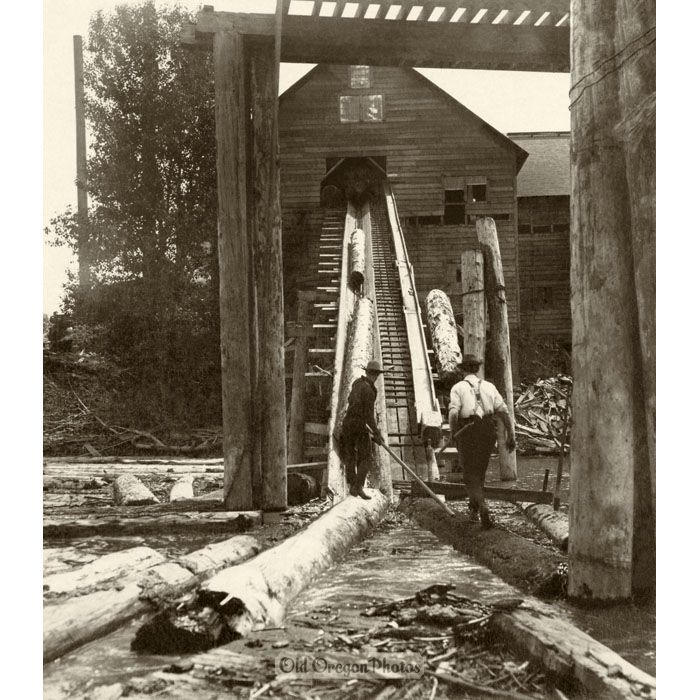 Hoisting Logs from Pond to Mill at Palmer - White