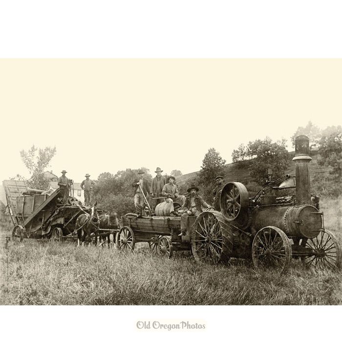 Threshing Crew with Steam Tractor