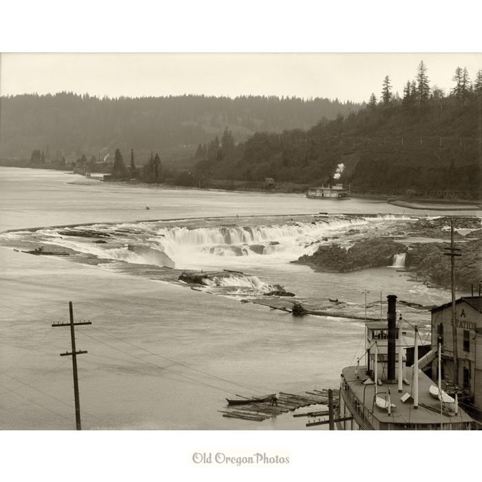 Willamette Falls, with Station A in Foreground - Meiser