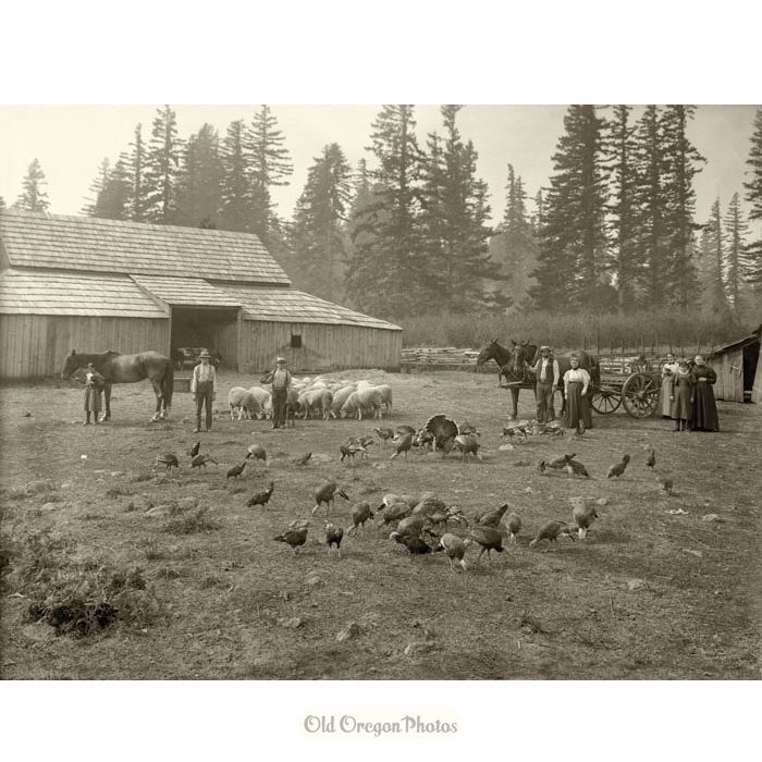 An Oregon Barnyard - Meiser