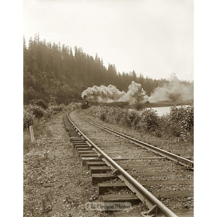 Train Approaching Along the Columbia River - Indahl