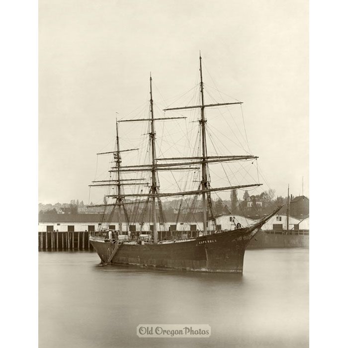 The German Ship Tarpenbek in Portland's Harbor - Indahl