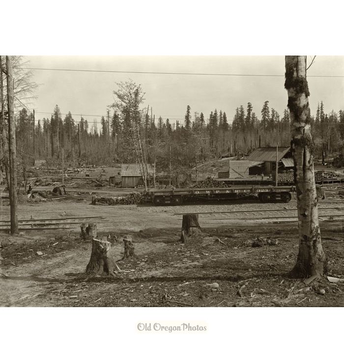 Oregon Water Power & Railway Cars at Logging Camp - Indahl