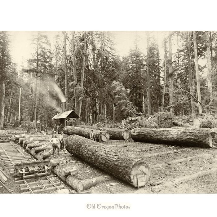 Yarding the Big Logs - Ford
