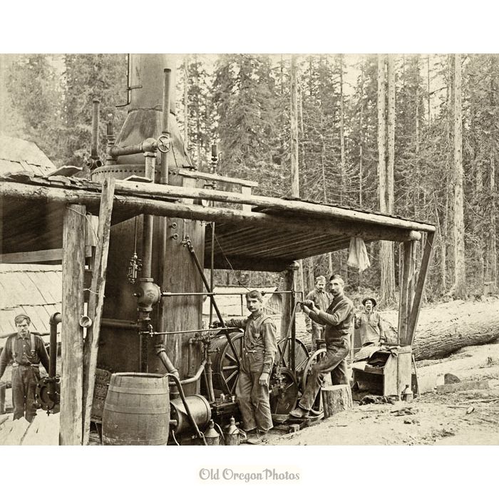 Logging - Double-drum Steam Donkey Crew - Ford