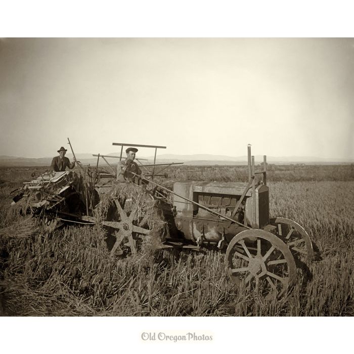 Harvesting Rice, Wallis Tractor, Moline Reaper (#2) - Meiser