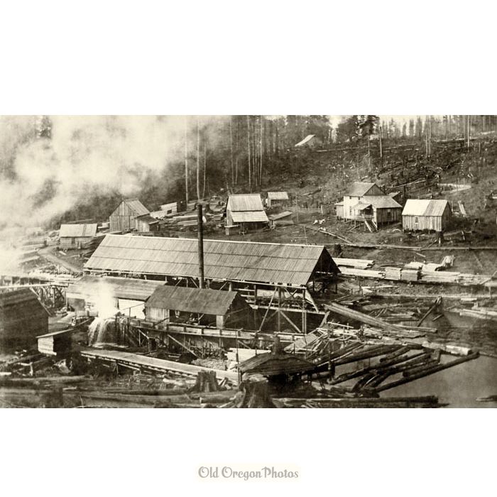 Overview of a Small Saw Mill near Sandy - Douglass