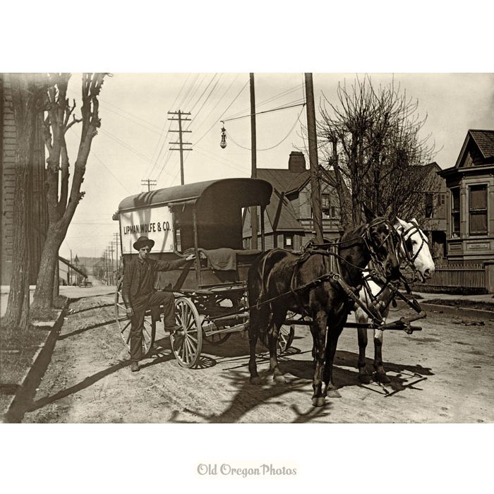 The Lipman, Wolfe & Co. Wagon Stops on 12th Street - Indahl