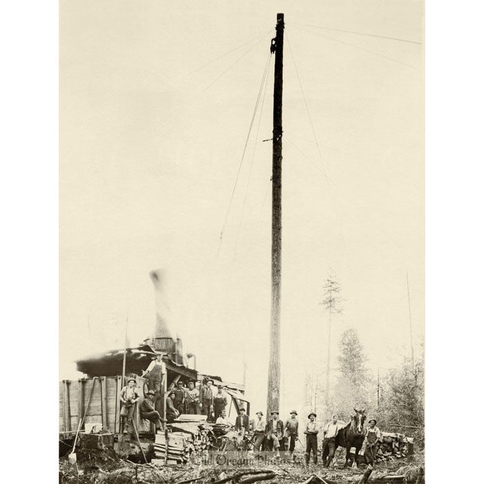 High-lead Yarding, Deer Island Logging Company - Clark Kinsey
