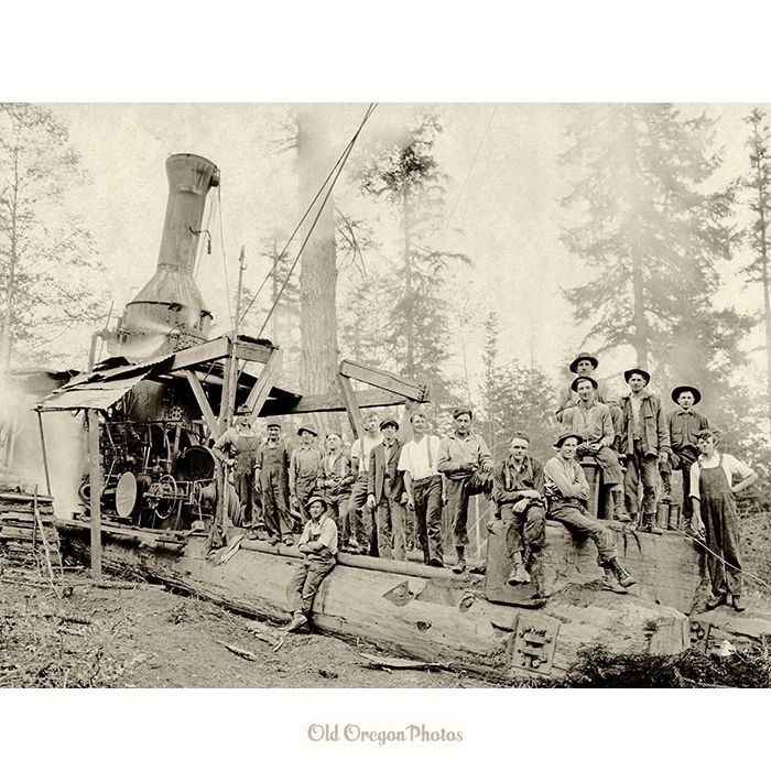Willamette Steam Donkey, Deer Island Logging Company - Clark Kinsey