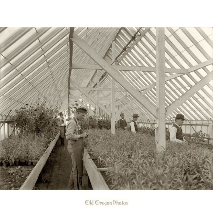 Tending Plants in a Large Greenhouse
