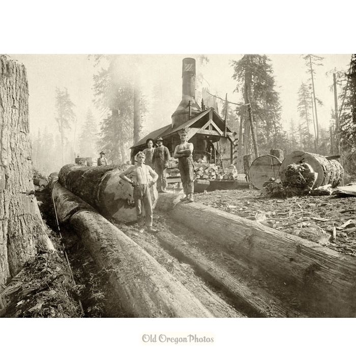 A Young Logger in a Log Chute - Ford