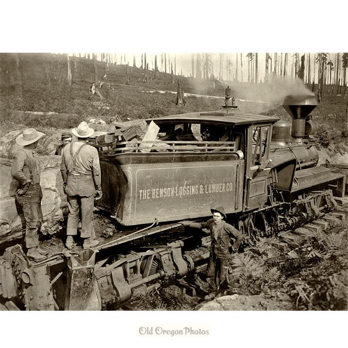 Pondering an Accident on the Benson Logging Train - Ford