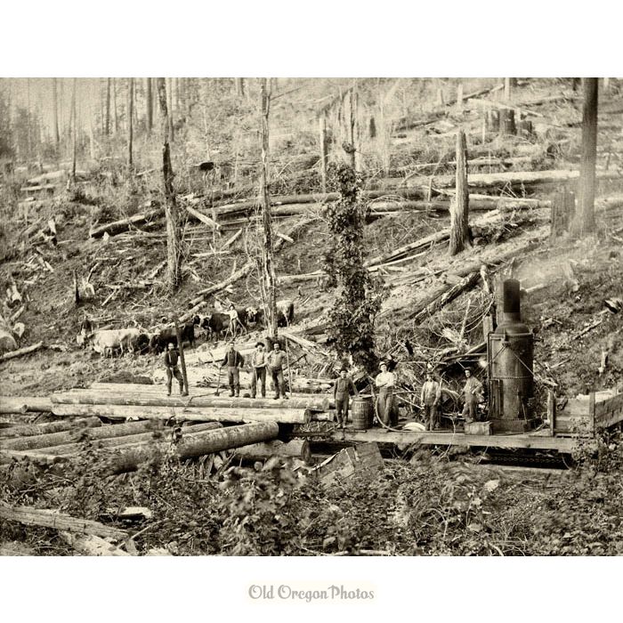 Logging Crew with Oxen & Steam Donkey