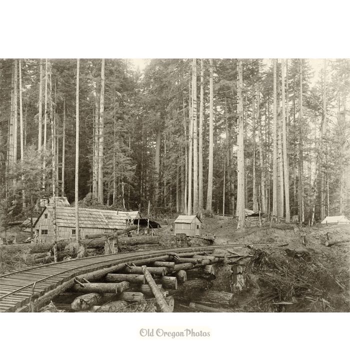 Logging Camp, Deep in the Woods - Ford