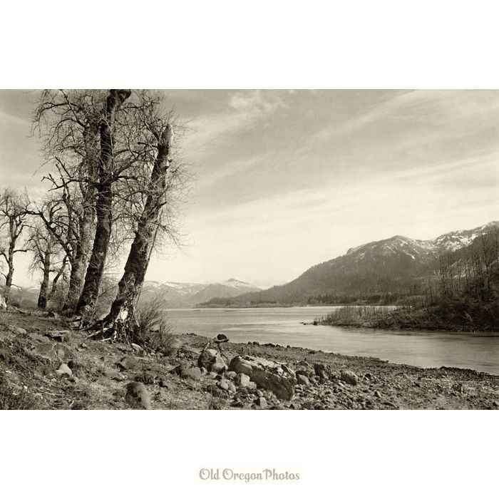 Up the Columbia River from near Cascades - Kiser