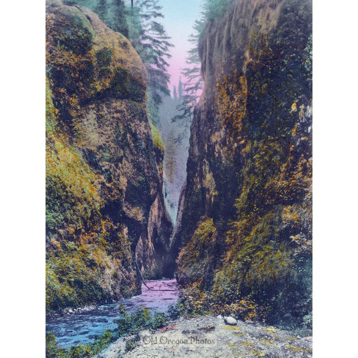 Oneonta Gorge, as Seen from the Highway - Cross & Dimmitt