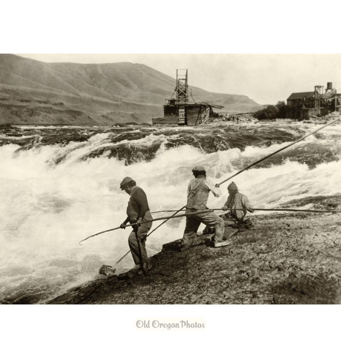 Gaffing for Salmon at Celilo Falls - Prentiss