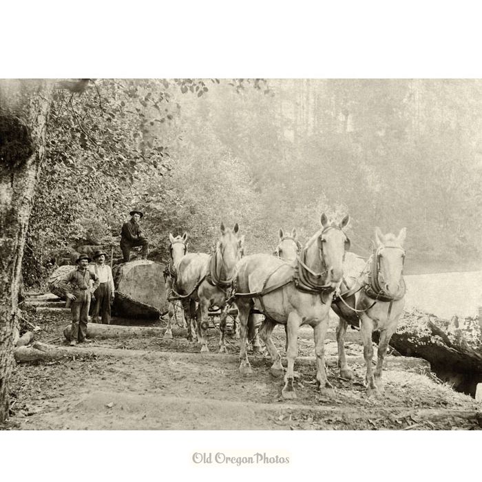 Six-horse Team at Wolman's Landing - Smith