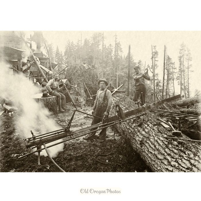 Logging - Crew with Steam Donkey Powered Dragsaw