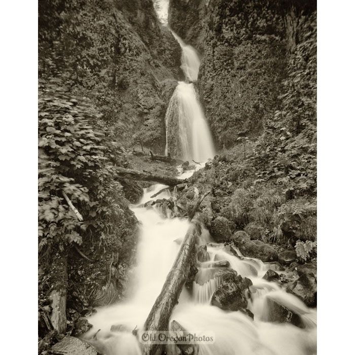 Upper Wahkeena Falls, Columbia River Gorge - George M. Weister