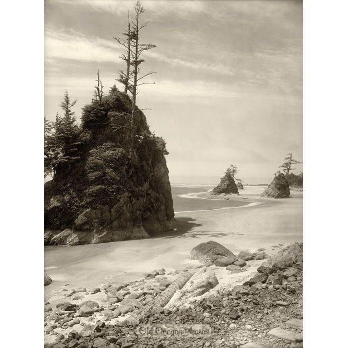 Four Rocks with Trees, Oregon Coast - Weister