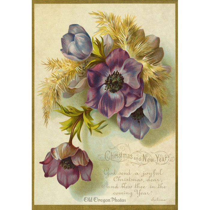 Vintage Christmas Card - Fall Colored Flowers