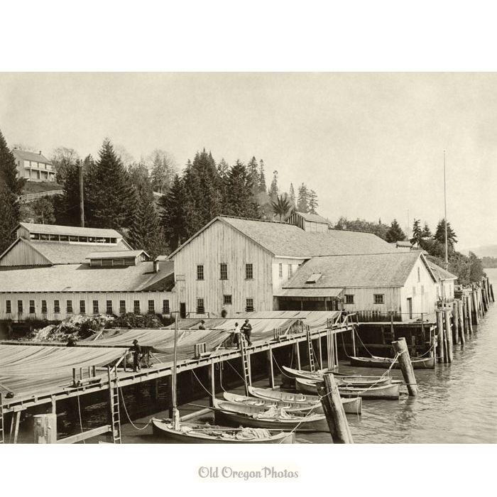 Warren Packing Co. Cannery at Cathlamet, Washington - Ford