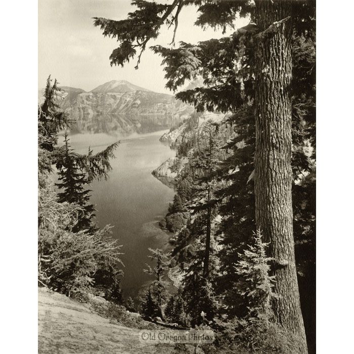 South Shore View, Crater Lake - Fred Kiser