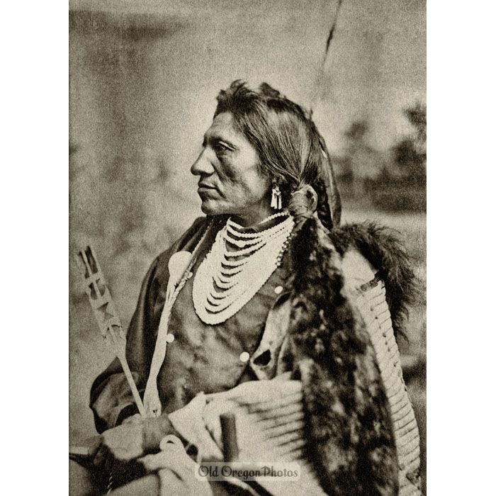 Goose, Arikara Scout, with Custer at Little Bighorn - David F. Barry