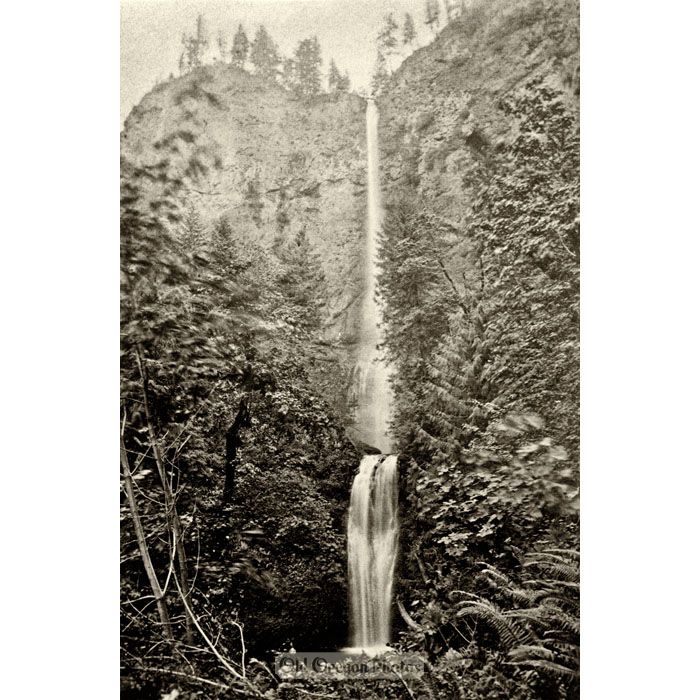 Multnomah Falls Before the Timber Bridge - Isaac G. Davidson