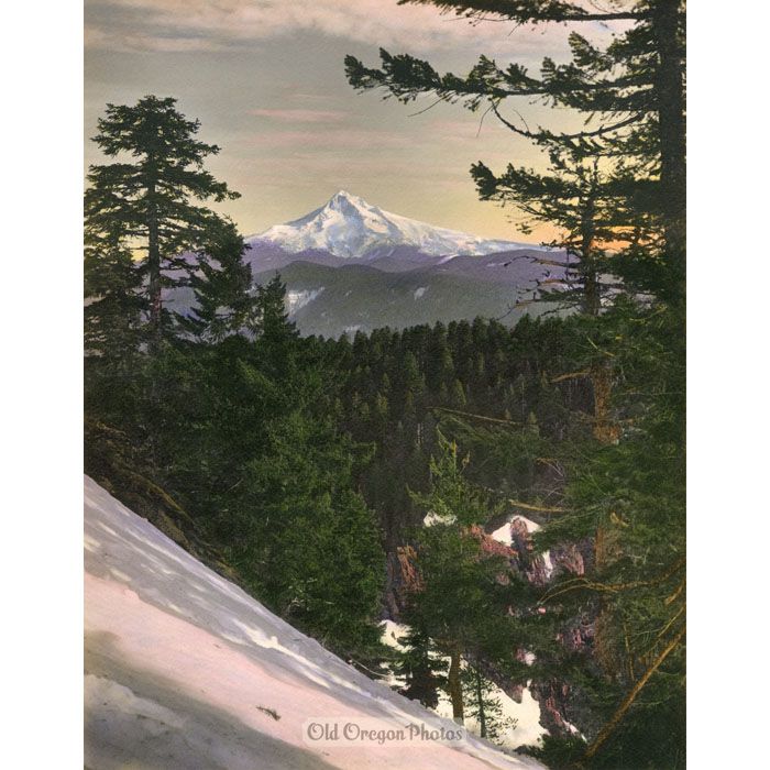 Mount Hood from Larch Mountain - Clarence L. Winter